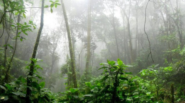 Eldorado und die legendären goldenen Städte