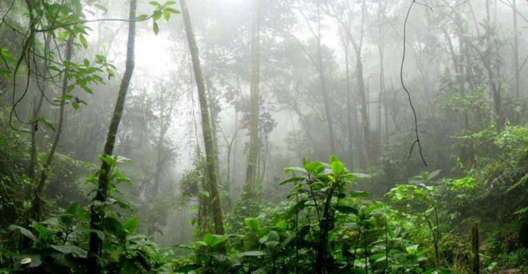 Eldorado und die legend&auml;ren goldenen St&auml;dte